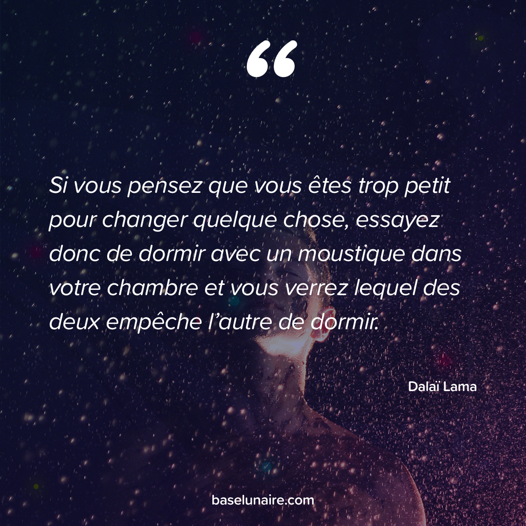 « Si vous pensez que vous êtes trop petit pour changer quelque chose, essayez donc de dormir avec un moustique dans votre chambre et vous verrez lequel des deux empêche l’autre de dormir » - Dalaï Lama